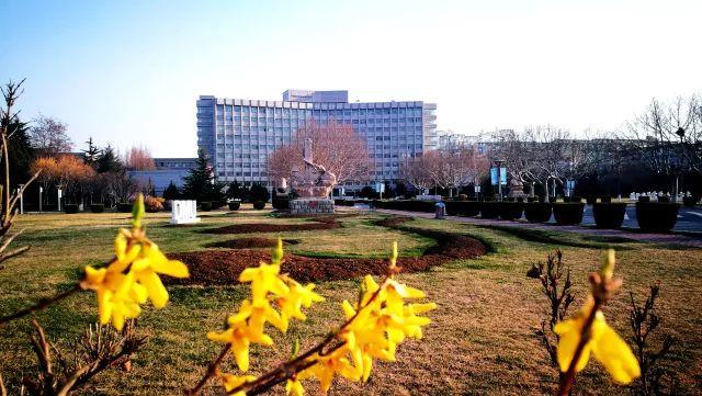 大连海事大学面向海内外诚聘优秀博士后研究人员