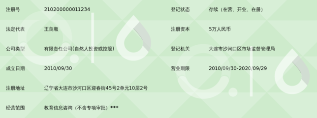 大连麦肯锡系统教育咨询_360百科